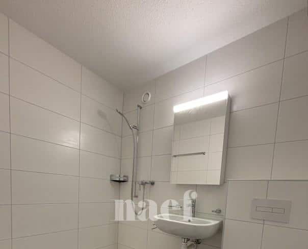 À louer : Appartement 2 Pieces Neuchâtel - Ref : 208412.2003 | Naef Immobilier