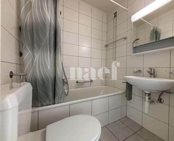 À louer : Appartement 2 Pieces Neuchâtel - Ref : 208424.1003 | Naef Immobilier