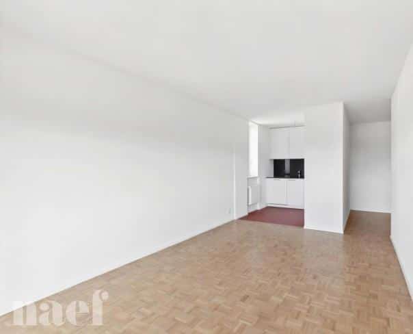 À louer : Appartement 2 Pieces La Chaux-de-Fonds - Ref : 208433.5001 | Naef Immobilier