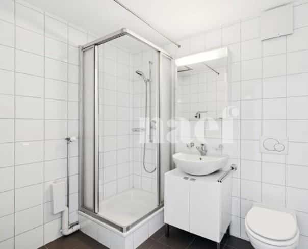 À louer : Appartement 5.5 Pieces Neuchâtel - Ref : 208692.1 | Naef Immobilier