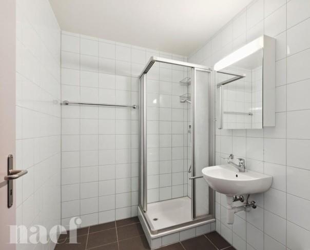 À louer : Appartement 5.5 Pieces Neuchâtel - Ref : 208693.4002 | Naef Immobilier