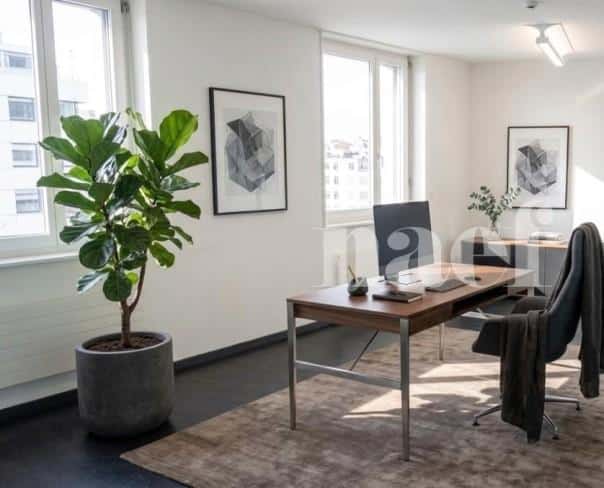 À louer : Surface Commerciale Bureau Delémont - Ref : 208700.2003 | Naef Immobilier