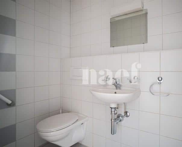 À louer : Appartement 3.5 Pieces Delémont - Ref : 208700.3006 | Naef Immobilier