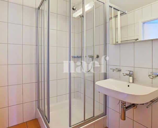 À louer : Appartement 4.5 Pieces Collombey - Ref : 208713.3001 | Naef Immobilier