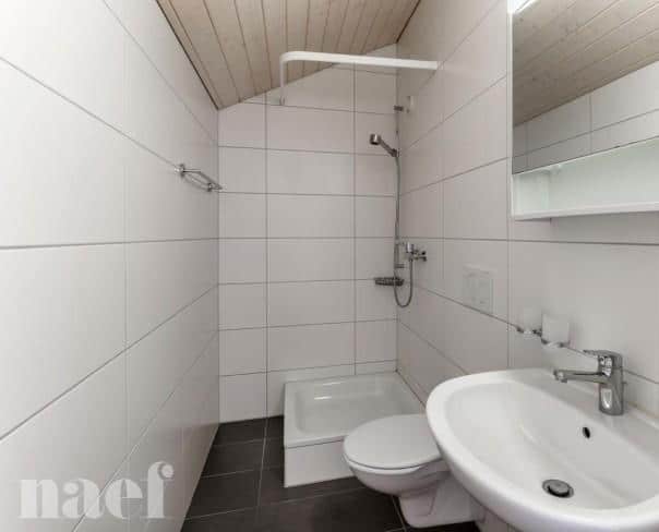 À louer : Appartement 2.5 Pieces Moudon - Ref : 208771.3003 | Naef Immobilier