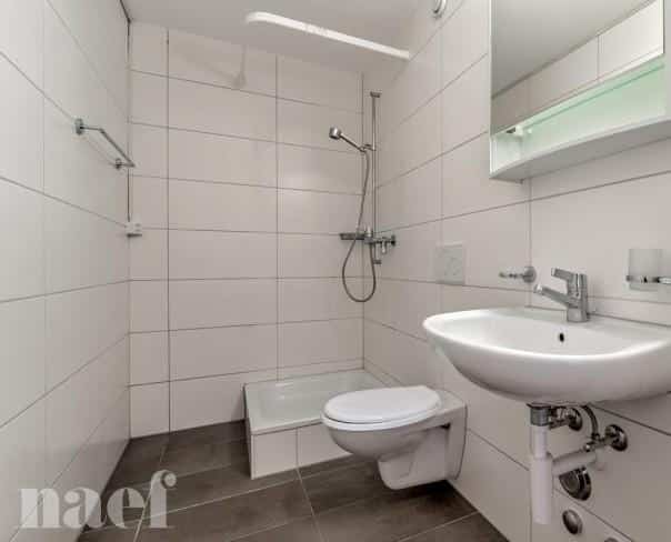 À louer : Appartement 2.5 Pieces Moudon - Ref : 208772.3003 | Naef Immobilier