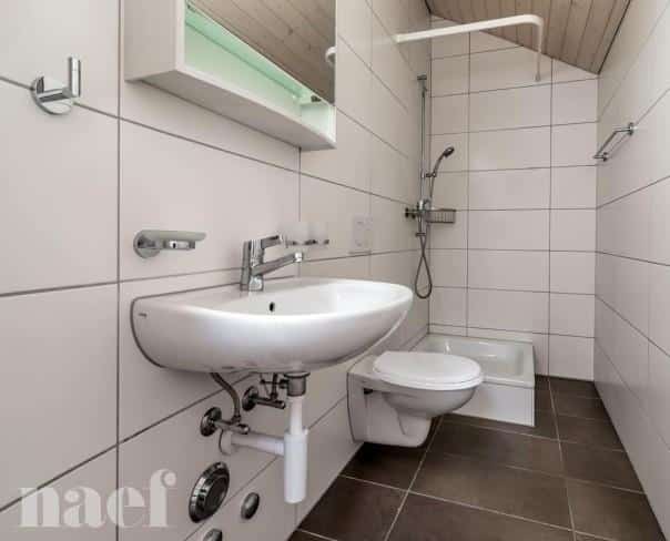 À louer : Appartement 2.5 Pieces Moudon - Ref : 208772.3003 | Naef Immobilier