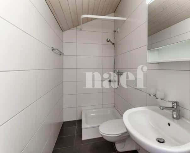 À louer : Appartement 2.5 Pieces Moudon - Ref : 208774.2003 | Naef Immobilier