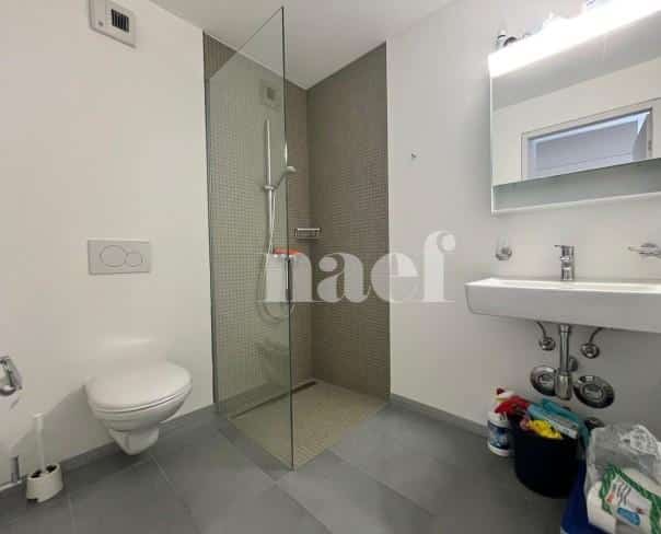 À louer : Appartement 1.5 Pieces Vevey - Ref : 208807.1001 | Naef Immobilier