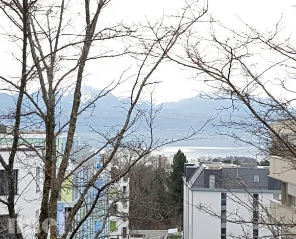 À louer : Appartement 2 Pieces Lausanne - Ref : 208830.3002 | Naef Immobilier