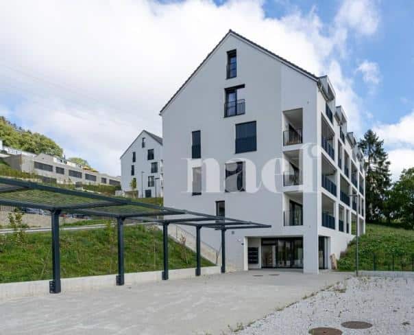 À louer : Surface Commerciale Arcade Jongny - Ref : 208860.1 | Naef Immobilier