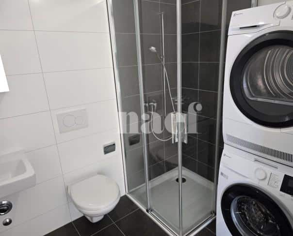 À louer : Appartement 2 Pieces Neuchâtel - Ref : 208882.2002 | Naef Immobilier