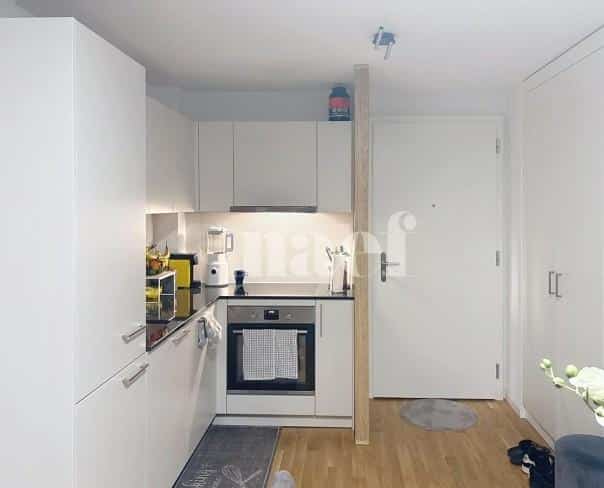 À louer : Appartement 2.5 Pieces Bussigny-Lausanne - Ref : 208887.6002 | Naef Immobilier