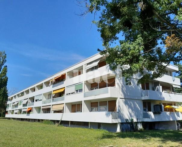 À louer : Appartement 3 Pieces Onex - Ref : 210099.3 | Naef Immobilier