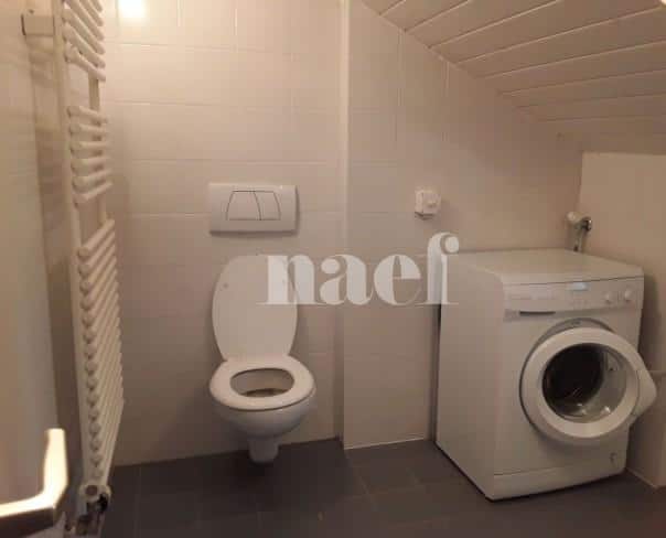 À louer : Appartement 4 Pieces Carouge - Ref : 210162.3001 | Naef Immobilier