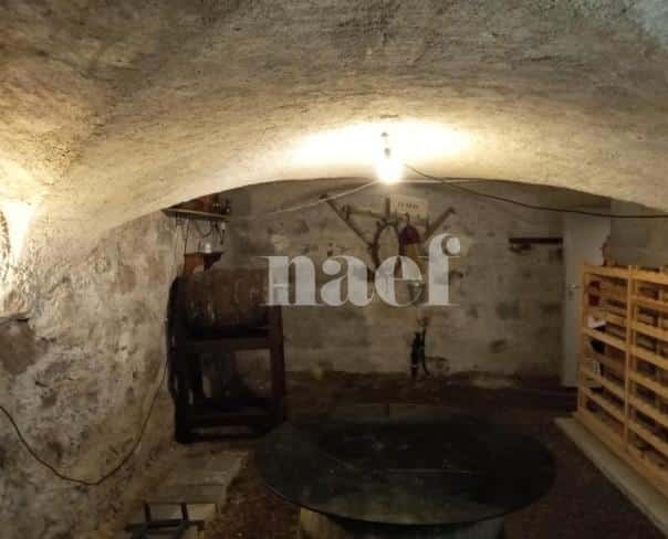 À louer : Dépôt Genève - Ref : 210166.80009 | Naef Immobilier