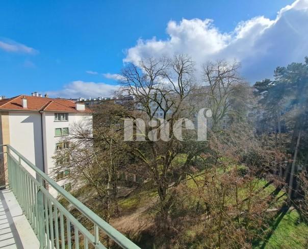 À louer : Appartement 5 Pieces Genève - Ref : 210293.5001 | Naef Immobilier