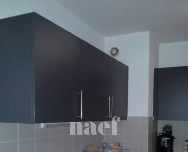 À louer : Appartement 3 Pieces Plan-les-Ouates - Ref : 210385.201 | Naef Immobilier