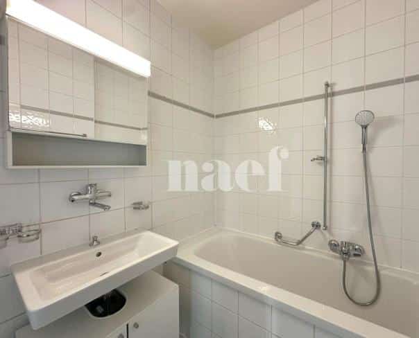 À louer : Appartement 4.5 Pieces Genève - Ref : 210552.2004 | Naef Immobilier