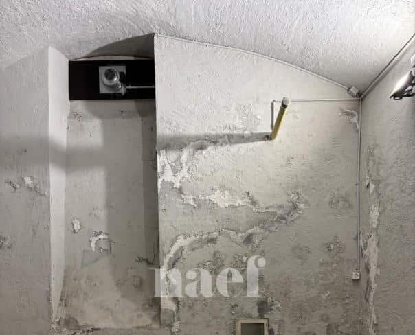 À louer : Surface Commerciale Atelier Genève - Ref : 210676.82001 | Naef Immobilier