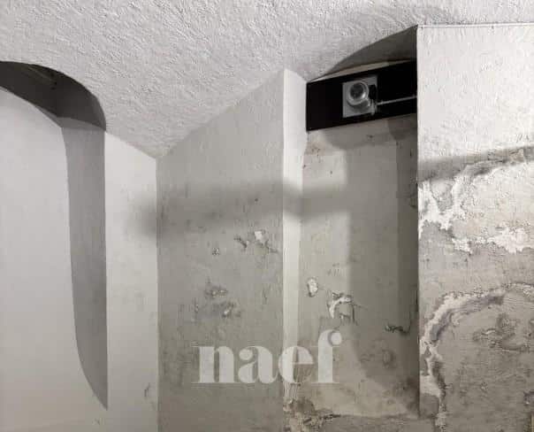 À louer : Surface Commerciale Atelier Genève - Ref : 210676.82001 | Naef Immobilier