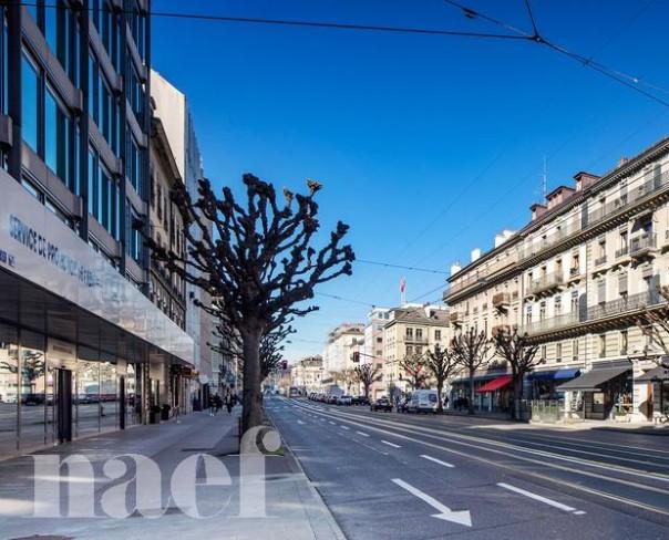 À louer : Appartement 3 Pieces Genève - Ref : 210706.3002 | Naef Immobilier