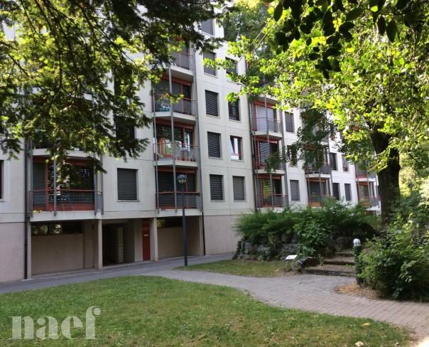 À louer : Appartement 6.5 Pieces Versoix - Ref : 211011.5152 | Naef Immobilier