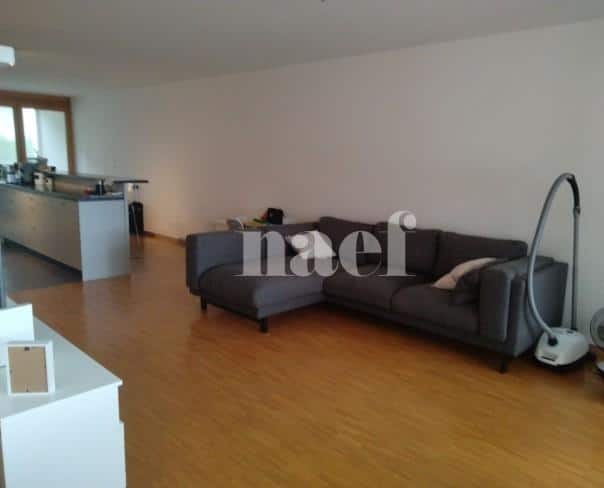 À louer : Appartement 5 Pieces Le Grand-Saconnex - Ref : 211038.1003 | Naef Immobilier