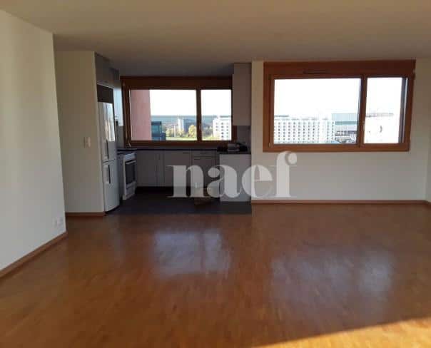 À louer : Appartement 5 Pieces Le Grand-Saconnex - Ref : 211040.4002 | Naef Immobilier