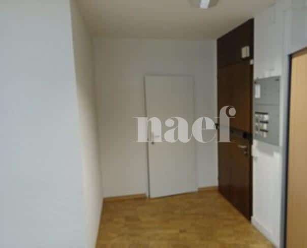 À louer : Surface Commerciale Bureau Genève - Ref : 211100.1001 | Naef Immobilier