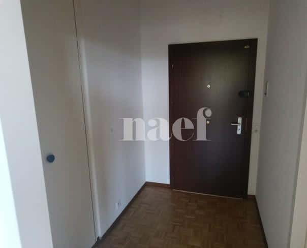 À louer : Appartement 2 Pieces Petit-Lancy - Ref : 211105.5002 | Naef Immobilier