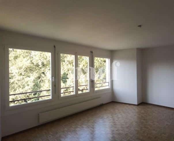 À louer : Appartement 2 Pieces Petit-Lancy - Ref : 211105.5002 | Naef Immobilier