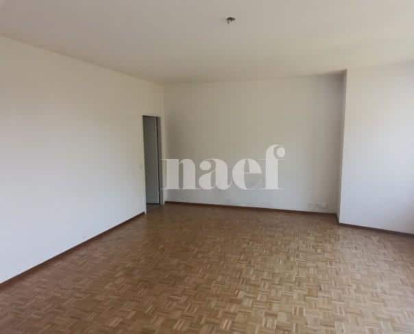 À louer : Appartement 2 Pieces Petit-Lancy - Ref : 211105.5002 | Naef Immobilier