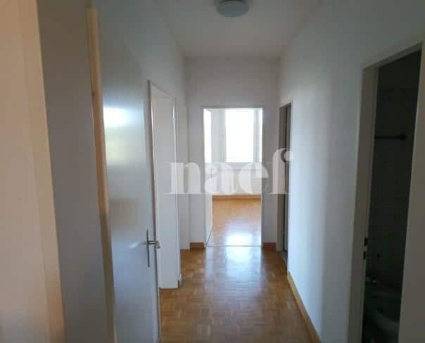 À louer : Appartement 6 Pieces Le Grand-Saconnex - Ref : 211130.7002 | Naef Immobilier