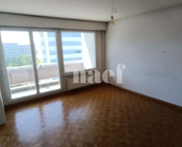 À louer : Appartement 6 Pieces Le Grand-Saconnex - Ref : 211130.7002 | Naef Immobilier