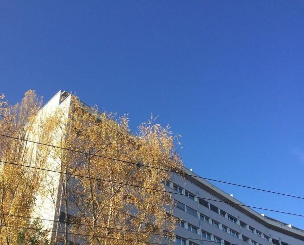 À louer : Appartement 5 Pieces Genève - Ref : 211131.10114 | Naef Immobilier