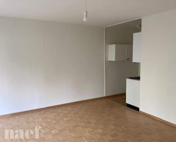À louer : Appartement 2 Pieces Genève - Ref : 211136.1003 | Naef Immobilier