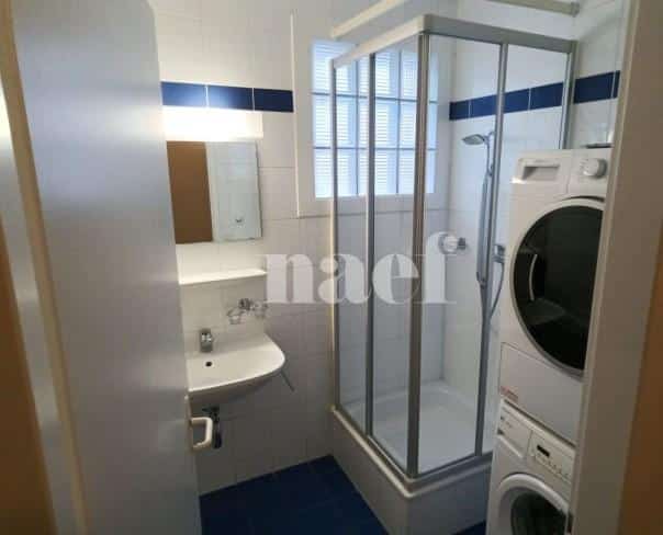 À louer : Appartement 4 Pieces Carouge Ge - Ref : 211142.3001 | Naef Immobilier