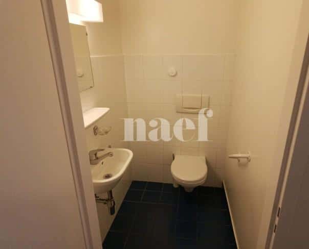 À louer : Appartement 4 Pieces Carouge Ge - Ref : 211142.3001 | Naef Immobilier