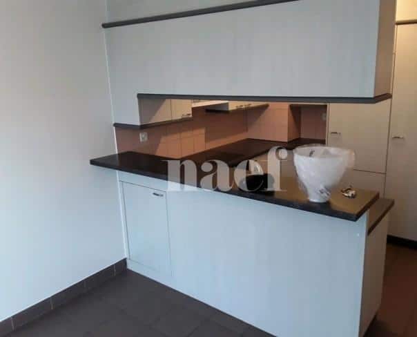 À louer : Appartement 3 Pieces Carouge GE - Ref : 211143.3002 | Naef Immobilier