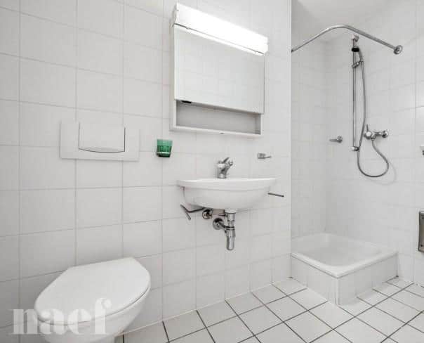 À louer : Appartement 5 Pieces Genève - Ref : 211162.2022 | Naef Immobilier