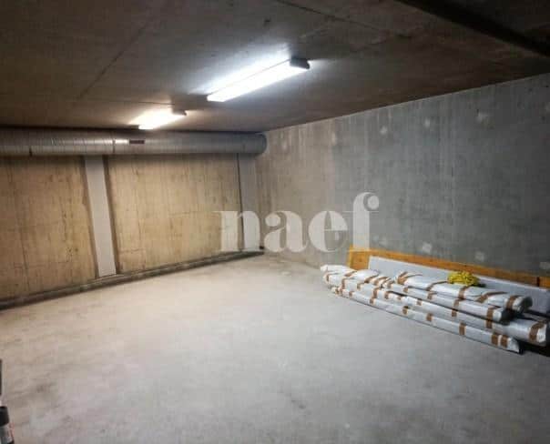 À louer : Dépôt Genève - Ref : 211162.82001 | Naef Immobilier