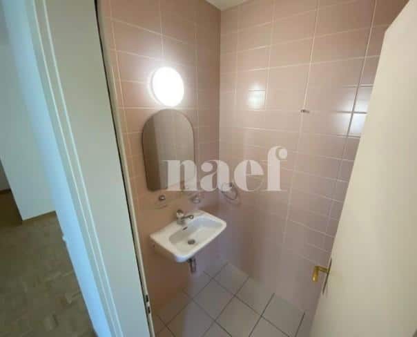 À louer : Appartement 5 Pieces Carouge GE - Ref : 211166.2021 | Naef Immobilier
