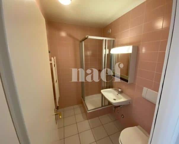 À louer : Appartement 5 Pieces Carouge GE - Ref : 211166.2021 | Naef Immobilier