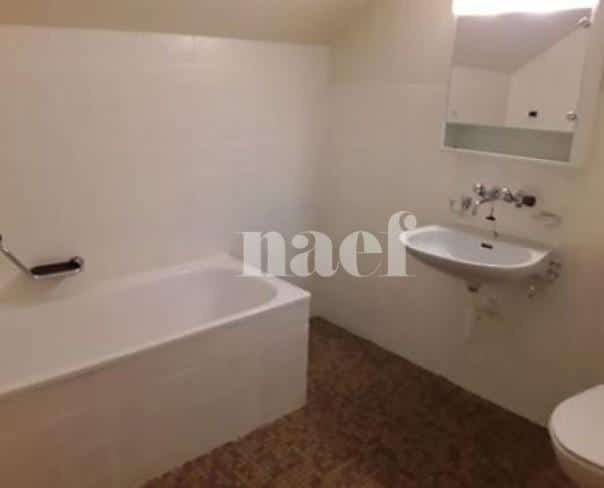 À louer : Appartement 6 Pieces Le Grand-Saconnex - Ref : 211171.1002 | Naef Immobilier