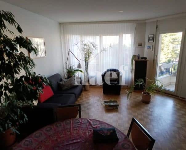 À louer : Appartement 5 Pieces Petit-Lancy - Ref : 211177.4001 | Naef Immobilier