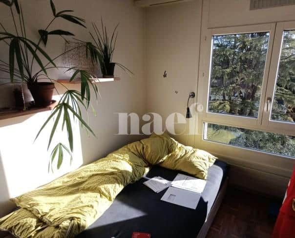 À louer : Appartement 5 Pieces Petit-Lancy - Ref : 211177.4001 | Naef Immobilier