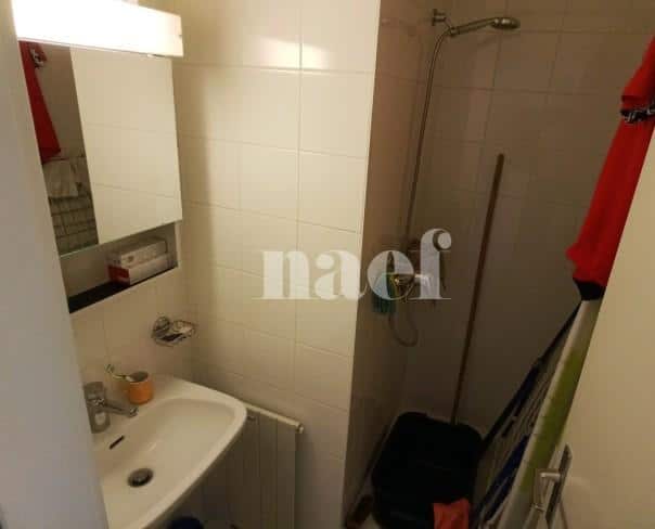À louer : Appartement 5 Pieces Petit-Lancy - Ref : 211177.4001 | Naef Immobilier