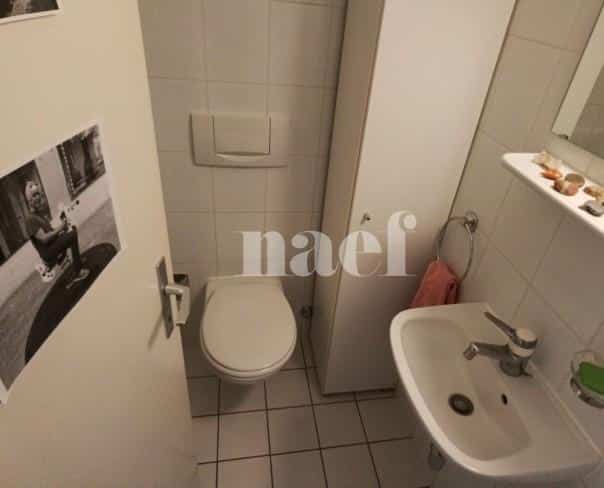 À louer : Appartement 5 Pieces Petit-Lancy - Ref : 211177.4001 | Naef Immobilier
