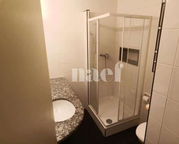 À louer : Appartement 1 Pieces Genève - Ref : 211200.4007 | Naef Immobilier